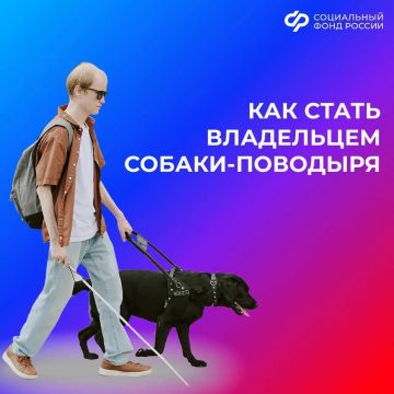 Как получить собаку-поводыря людям с проблемами со зрением