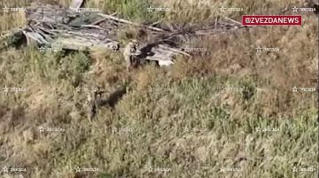 ������� ������ � ����������� �������� ���������, �� �������� ������� �����������