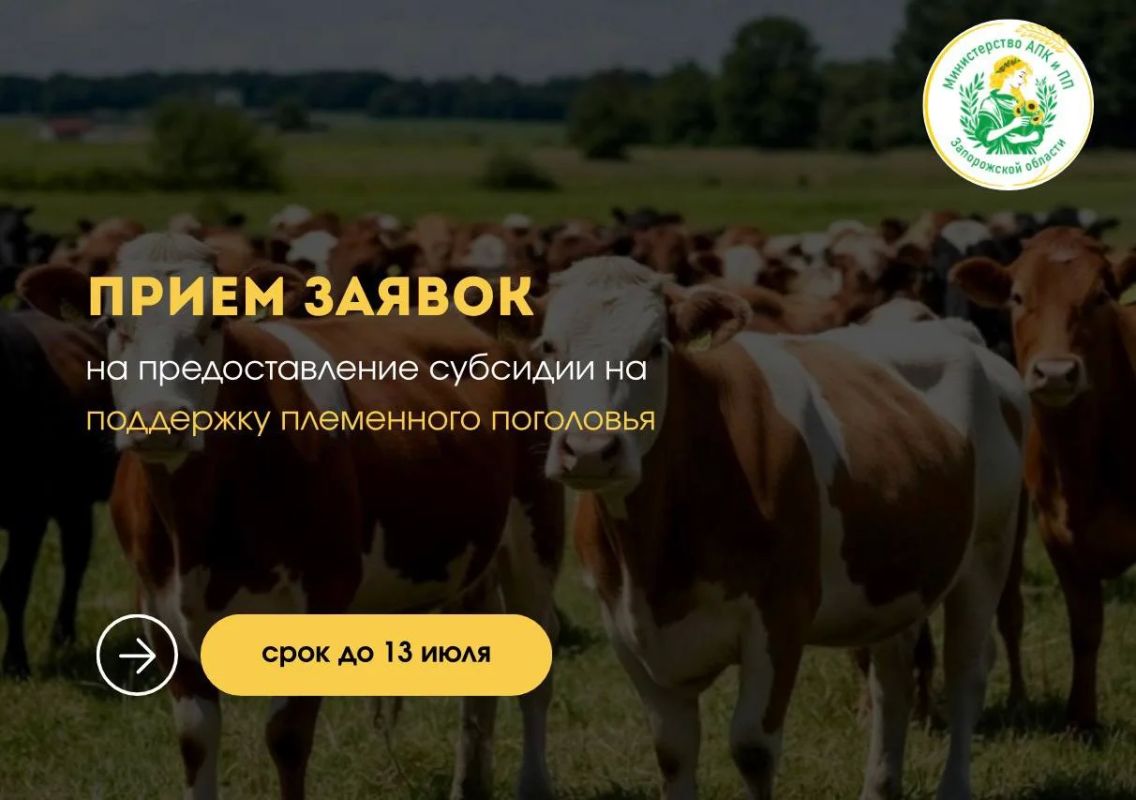 Информируем о начале отбора на предоставление субсидий сельскохозяйственным товаропроизводителям на содержание племенного животноводства