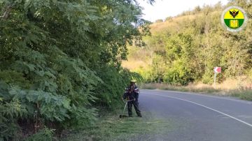 В Семёновском сельском поселении продолжается покос травы