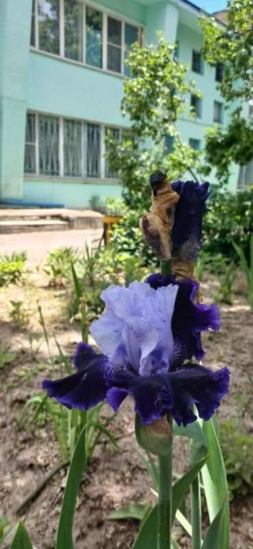 Доброе утро! Пусть оно начнётся с хорошей новости и бодрого настроения, с тёплой улыбки и вкусного завтрака, с великой цели и абсолютной уверенности в своём успехе Доброе утро! Пусть оно начнётся с хорошей новости и бодрого настроения, с тёплой улыбки и вкусного завтрака, с великой цели и абсолютной уверенности в своём успехе