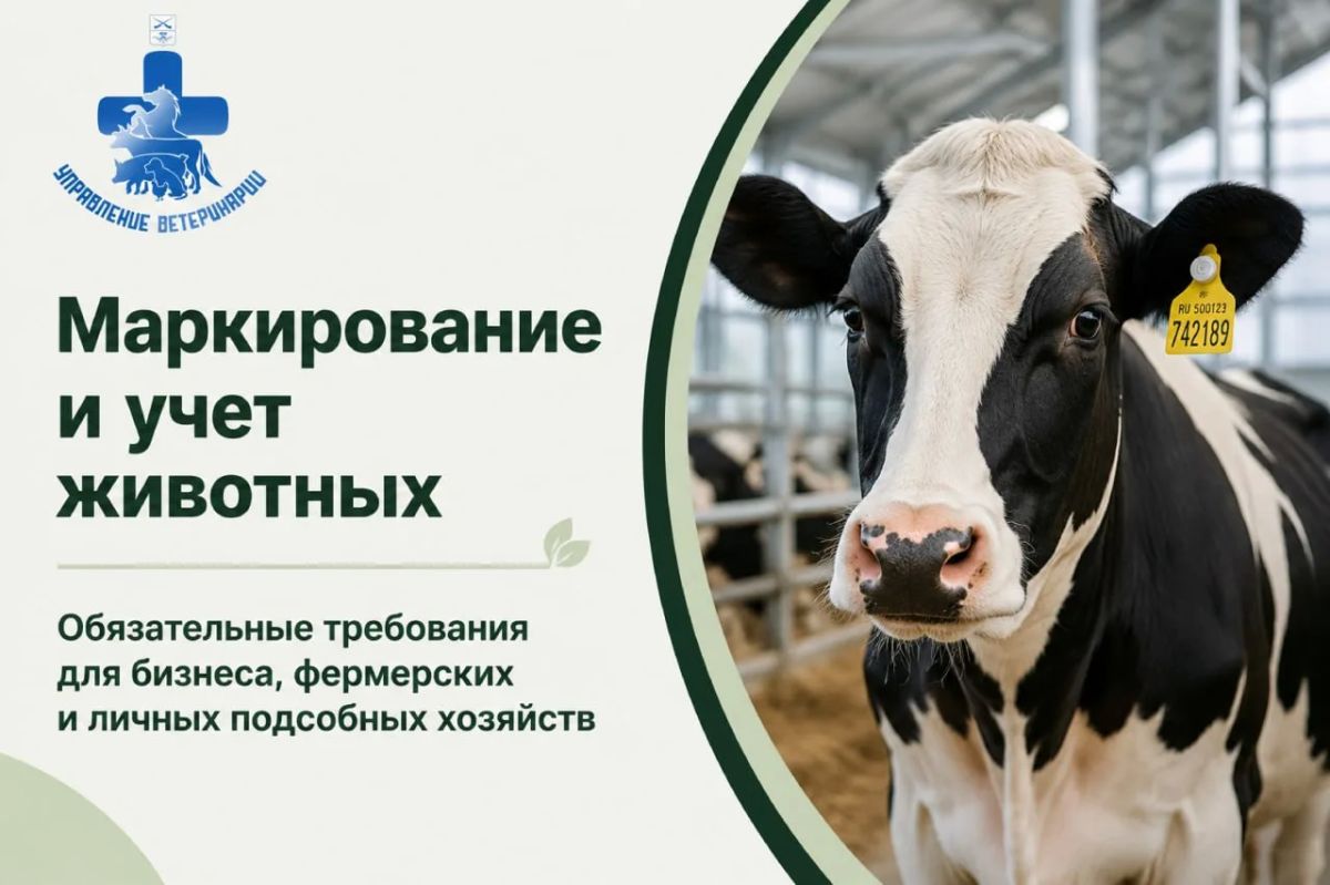 Бирка Учет! Узнайте из наших карточек, как правильно зарегистрировать животное в Запорожской области