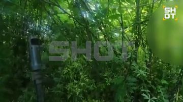 ��� ���������� ����� ������ 20 ����������, ��������� �� ��������� ������� ������, ����� ��������� ��� ������ ���������