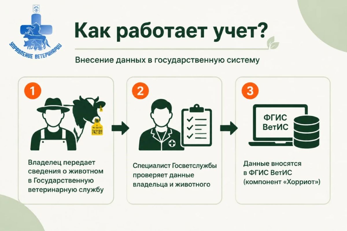 Бирка Учет! Узнайте из наших карточек, как правильно зарегистрировать животное в Запорожской области Бирка Учет! Узнайте из наших карточек, как правильно зарегистрировать животное в Запорожской области