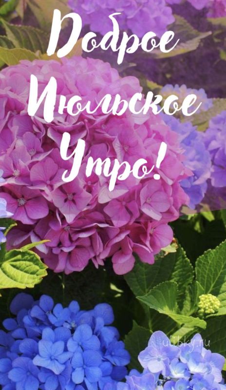 6 июля - Празднование в честь Владимирской иконы Божией Матери! 6 июля - Празднование в честь Владимирской иконы Божией Матери!