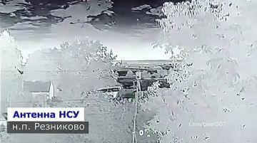���������: ����� ������ ��������� �� ����� ����� ����������