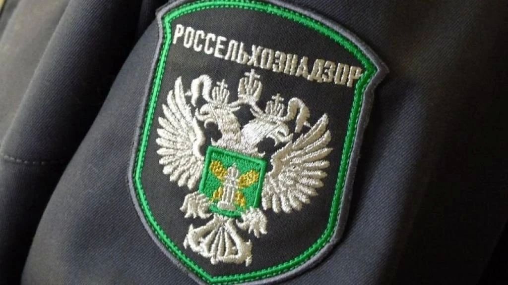 Россельхознадзор выявил небезопасную продукцию в общепитах Запорожской области