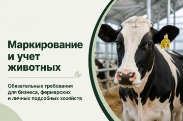 Бирка Учет!. Регистрация животных – это не формальность, а элемент контроля эпизоотической безопасности