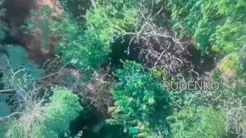������ �������: ������� ������ ��������-�� ����������� ����� ������� ���������� ������� ������ ��� � ����������� �������