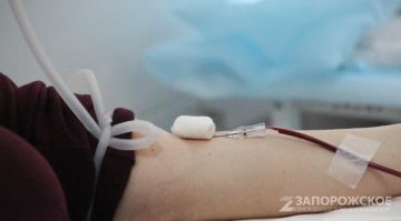 ����� 6 ���. ������� ����� ����� � �������������� ������ ����� � 2026 ����