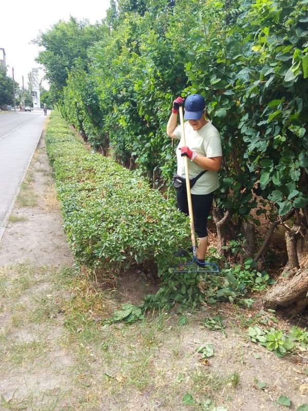 Ежедневно МБУ «Центр городского хозяйства города Днепрорудное» делает наш город чище и уютнее Ежедневно МБУ «Центр городского хозяйства города Днепрорудное» делает наш город чище и уютнее