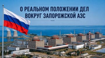 Постоянное представительство Российской Федерации при международных организациях в Вене:
