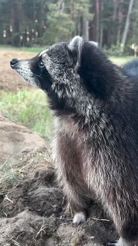 Доброе утро, друзья! Хорошего вам дня и отличного настроения!