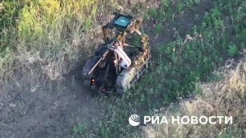 В течение прошлых суток украинские ресурсы и вслед за ними ряд российских медиа начали активно тиражировать информацию о так называемом «беспилотном наступлении ВСУ в Запорожье»