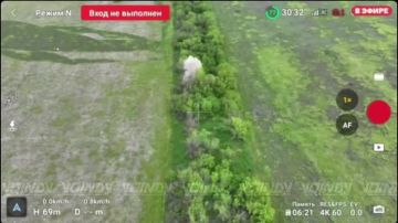 ��������� �������: ������� �����. ��������� ���� 430 ��������������� ����� 29 ����������� ������������� ����� ����������� "������" ������� ����� ���� ���������� � ������� �� ��� ������ ����� �� ����������� �����������