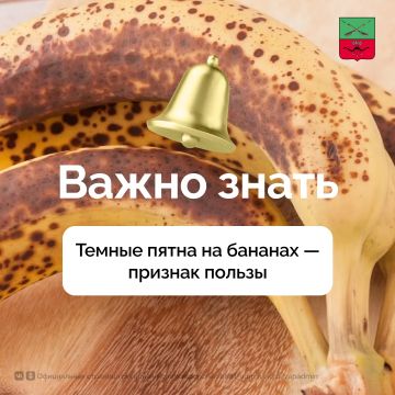 ������ ������ ������������ ���������