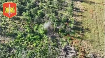 ������� ���� 58 ����������� ������������� ����� ���������� ������ � ������� ��� �� ����������� �����������