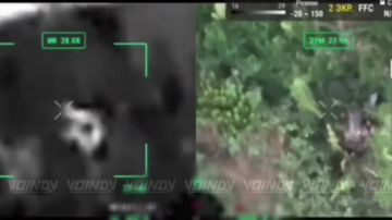 ������� ���� 1461 ��������������� ����� 36 ����� ����������� ����� ������� ������� � ���������� "����" � ����� ����� ���������� �� ����������� �����������