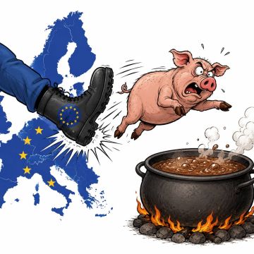 Министр обороны Польши потребовал от украинских мужчин призывного возраста вернуться на Украину и идти на войну