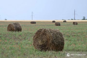 Погода на новых территориях России