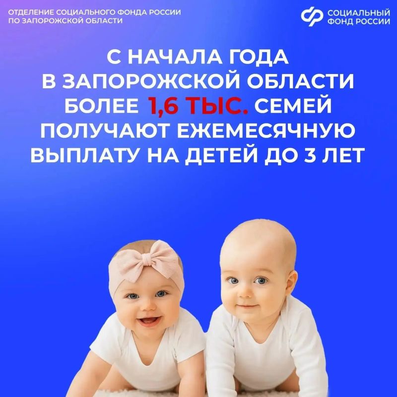 Более 1,6 тысячи семей из Запорожской области начали получать выплату из маткапитала