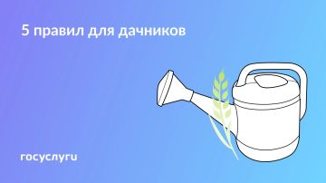 ��������, ��������� � ������������: ��� ������ ��������