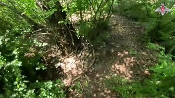 Достанут каждого. Штурмовики группировки «Восток» зачистили укреплённый опорник ВСУ в Запорожской области