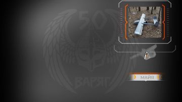 Владимир Рогов: Как русские воины уничтожили 50 вражеских БпЛА над трассой «Новороссия»