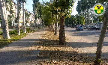На улицах Мелитополя продолжается покос травы