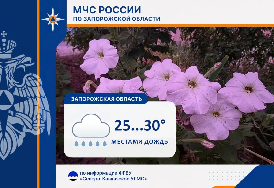 С 16 на 17 июля на территории региона ожидается: