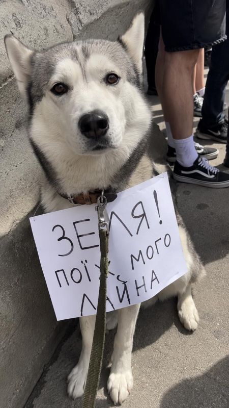 На митингах в Киеве люди начали скандировать «Импичмент!» На митингах в Киеве люди начали скандировать «Импичмент!»