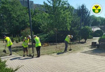 � ���������� ������������ ������ �� ��������������� ����