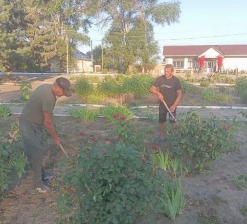 Новости Шелюговского сельского Дома культуры Новости Шелюговского сельского Дома культуры