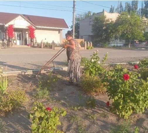 Новости Шелюговского сельского Дома культуры Новости Шелюговского сельского Дома культуры