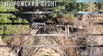 Рзведгруппа Немца из 291 полка нашла и наказала орудие Д-30 укрорейха