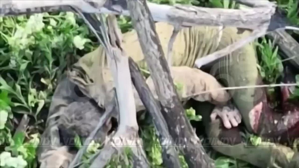 Гвардейцы 26 полка РХБЗ 36 армии группировки войск «Восток» вскрыли и уничтожили живую силу противника на Запорожском направлении