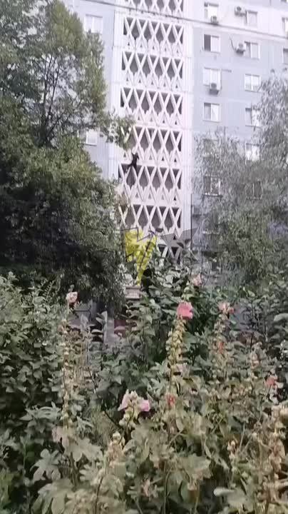 На что только не пойдёшь чтобы свалить от ТЦК