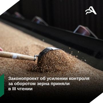 Контроль за зерном становится строже