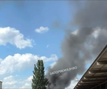 ��� ����������� ����� ������ �� ����������� � �������������� ����� ���������