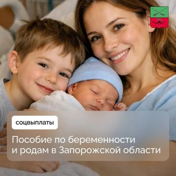 Условия и порядок выплаты пособия по беременности и родам в Запорожской области в 2026 году
