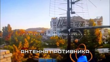���� ��������� ������ ���������� ������������ ����� ������ �� �������� ���������� ����� �� �������!