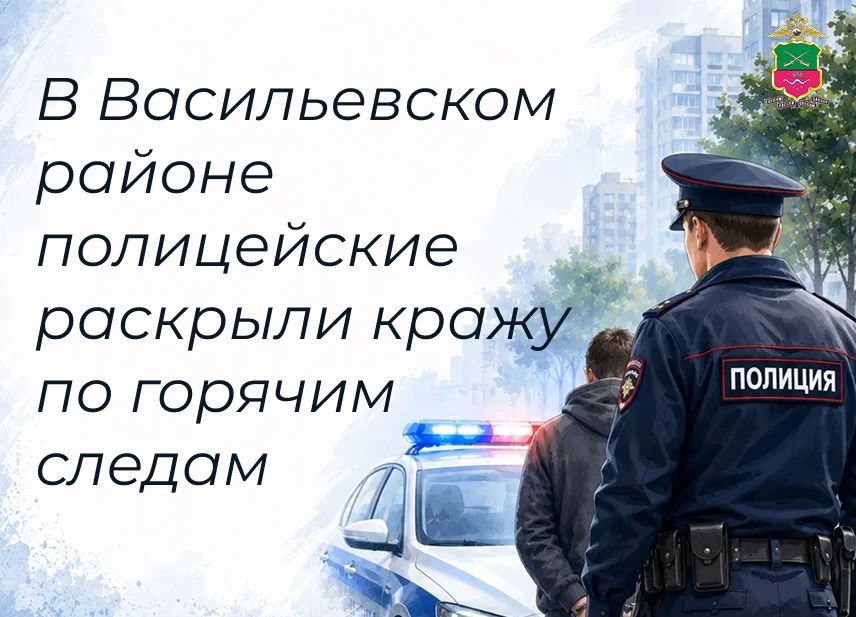 В Михайловке участковые уполномоченные полиции раскрыли кражу имущества из домовладения