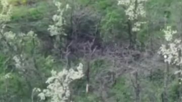 Чингис Дамбиев: Обстановка в зоне ответственности группировки войск "Восток"