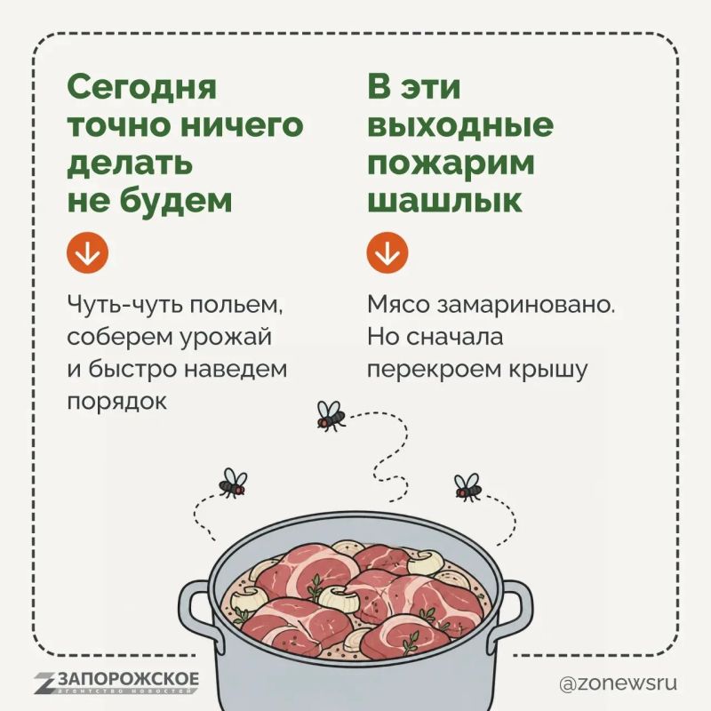 Что такое дача? Для одних — тишина, свежий воздух, шашлыки и отдых от городской суеты Что такое дача? Для одних — тишина, свежий воздух, шашлыки и отдых от городской суеты