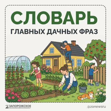 Что такое дача? Для одних — тишина, свежий воздух, шашлыки и отдых от городской суеты