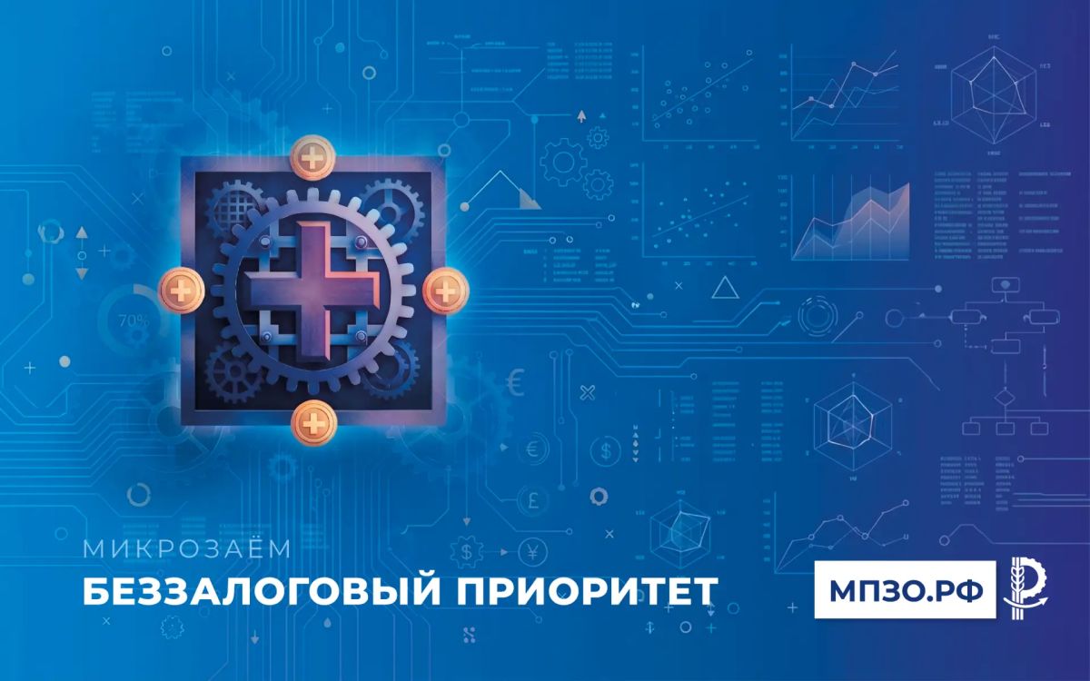 Финансовая поддержка для бизнеса Запорожской области: микрозаём «Беззалоговый приоритет»