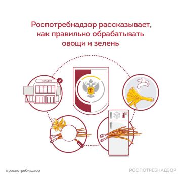 Качественная обработка овощей и зелени – это первый и самый надёжный барьер против острых кишечных инфекций и паразитарных заболеваний (гельминтозов)