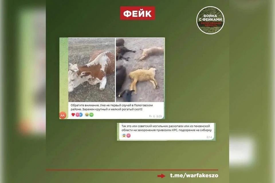 Опровергнута новость о появлении сибирской язвы в Запорожской области