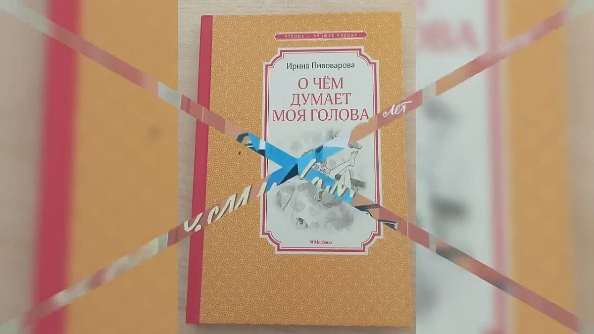 В Михайловской библиотеке фонд пополнился новыми изданиями для детей и подростков