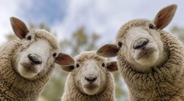 �� ������ �����! ������ ���������� ������ ���������� � ������ ����� � ����������� ������